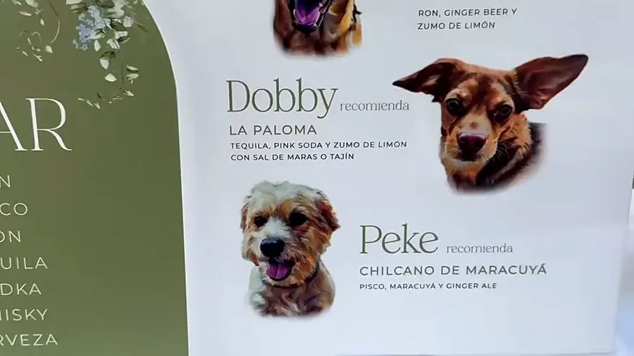 Carta de cócteles personalizada